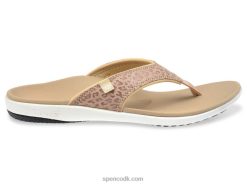 Spenco Footwear yumi gepard print Kvinder tan T000H48